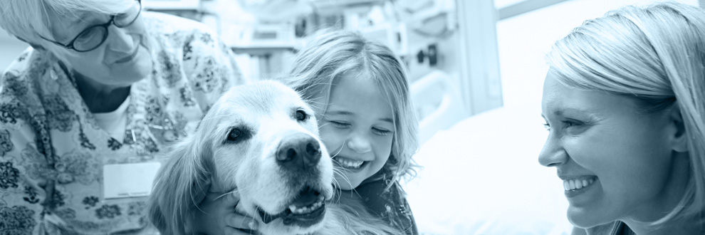 Animal Assisted Therapy Course - BSY Group Animal Assisted Therapy Course - BSY Group